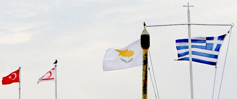 Zasady przewozu towarów przez Zieloną Linię