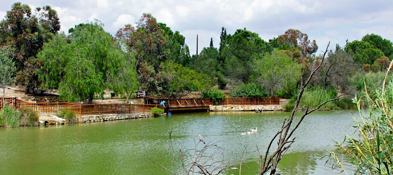 Athalassa Ulusal Orman Parkı