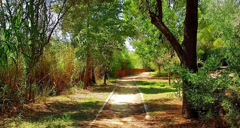 Athalassa Parkı'nda bir yol