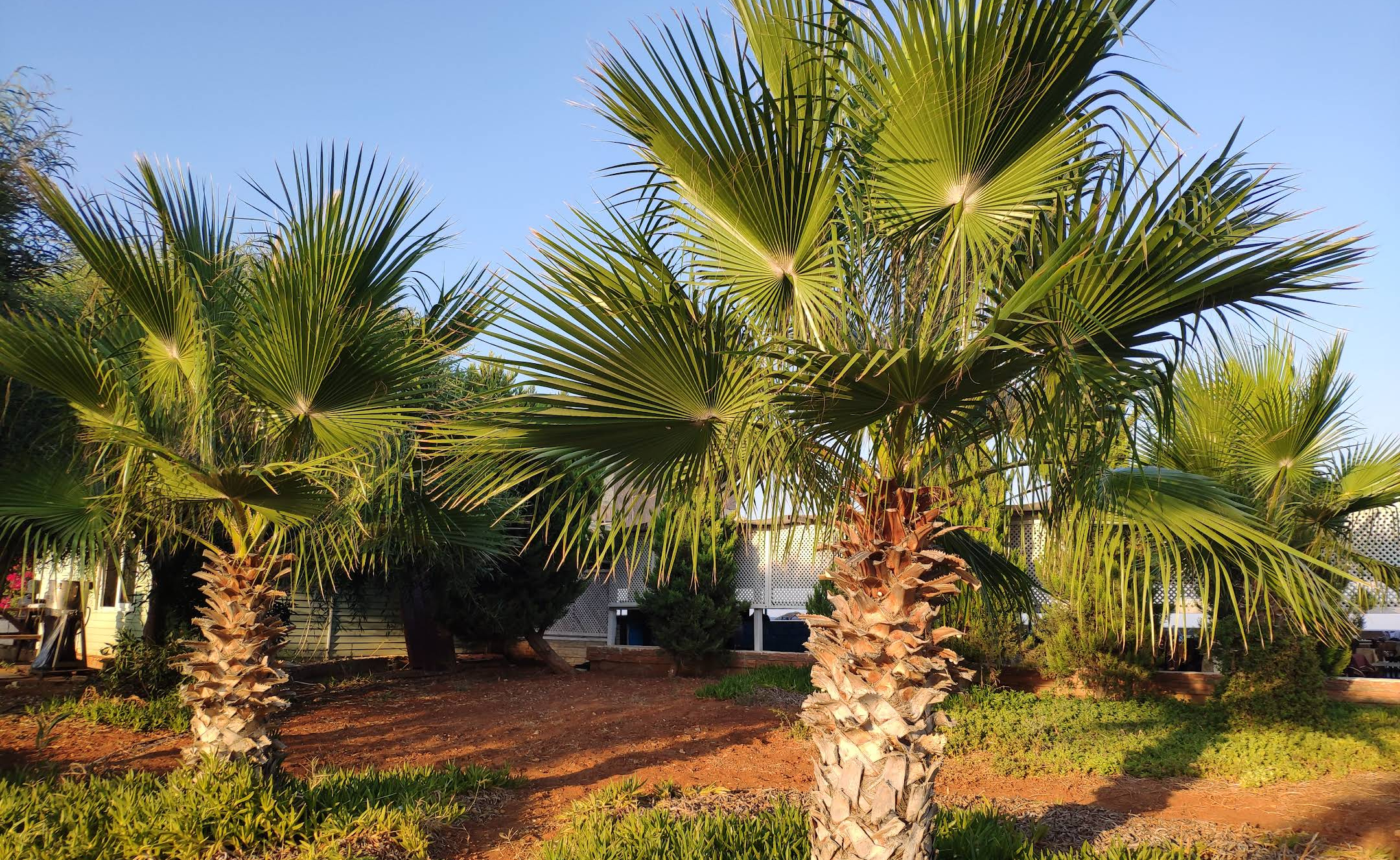 Golden Bay Beach