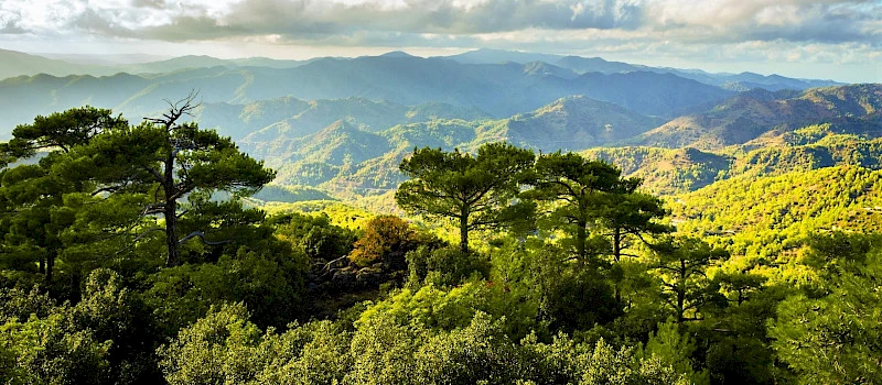 Troodos kalni: maršruts no Larnakas (Kipras Republika)