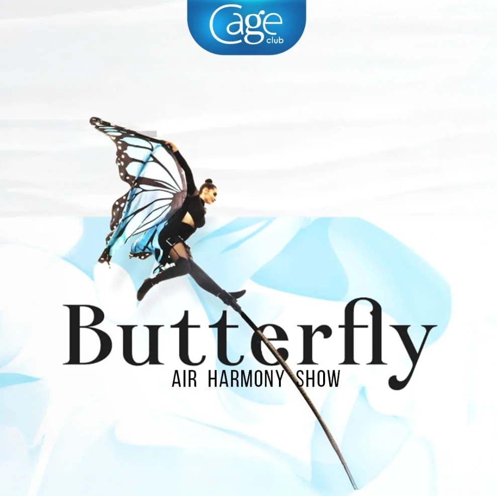 Шоу Butterfly Air Harmony